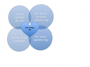 Bild1